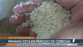 Hay suficiente arroz en el país