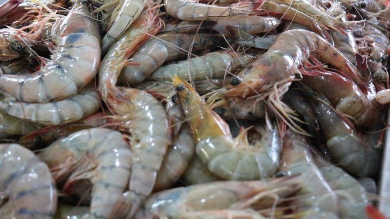 MIDA busca exponenciar exportación de productos a China