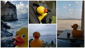 Pato de goma robado regresa tras misteriosos viajes