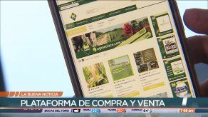 Plataforma digital busca facilitar comercialización en el sector agropecuario