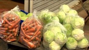 Contenedores con productos de Tierras Altas llegaron a Merca Panamá Contenedores con productos de Tierras Altas llegaron a Merca Panamá