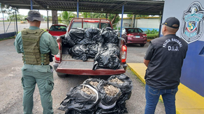 Policía desarticula grupo delictivo Policía desarticula grupo delictivo