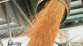 Productores de arroz no quieren subsidio del gobierno