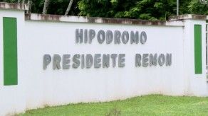 Niegan vínculos con contratos de cuidadores de caballos en planilla 172 de la AN