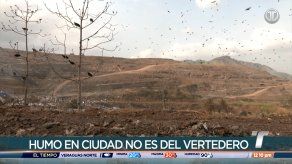 Una persona intentó ocasionar un nuevo incendio en Cerro Patacón