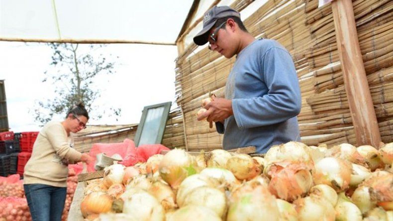 Campesinos colombianos apuestan por un eBay del agro para superar pobreza