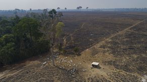 MiAmbiente anuncia que Panamá será sede del CRIC 2025 MiAmbiente anuncia que Panamá será sede del CRIC 2025