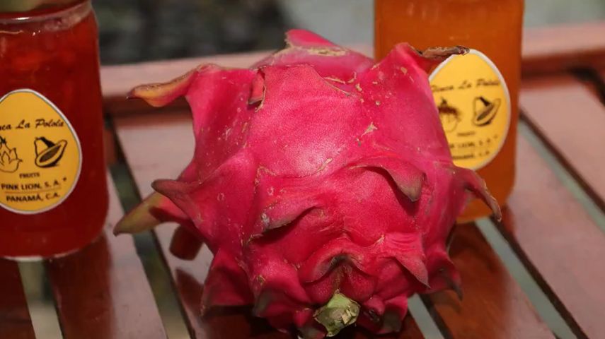 Vista de la fruta pitahaya.