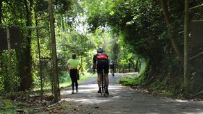 Desde el 2001, el Cerro Ancón es considerado área protegida y reserva natural en el distrito de Panamá. Desde el 2001, el Cerro Ancón es considerado área protegida y reserva natural en el distrito de Panamá.