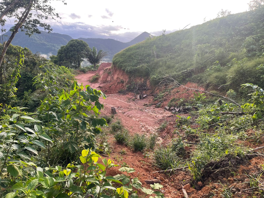 MiAmbiente descubre deforestación