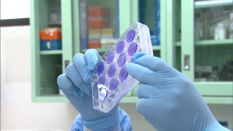 Instituto Gorgas ya tienes los reactivos para detectar el ébola