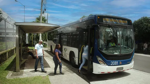 MiBus, reglamento