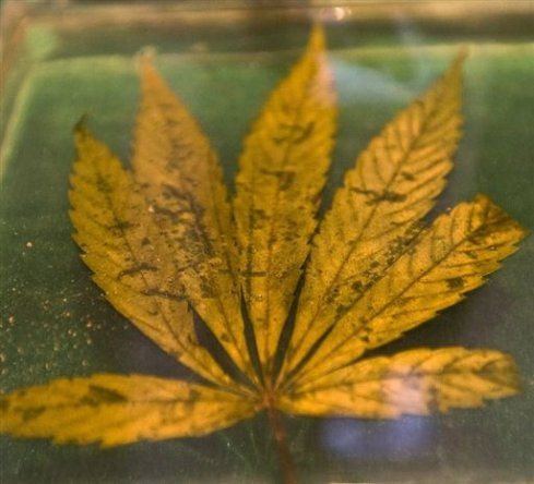 Sur de Francia, plataforma del tráfico de drogas