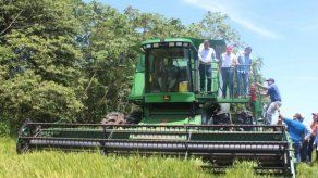 Ministro Valderrama: No habrá importación de arroz Ministro Valderrama: No habrá importación de arroz