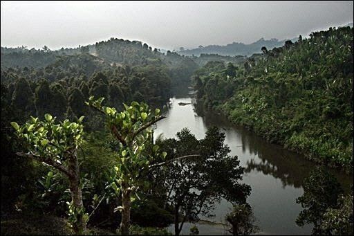 Crearán panel de expertos sobre biodiversidad
