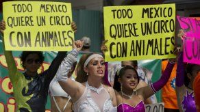 Acróbatas marchan en México contra veto a animales en circos