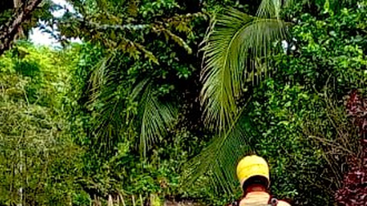 Río La Villa se desborda y afecta viviendas en Los Santos Río La Villa se desborda y afecta viviendas en Los Santos