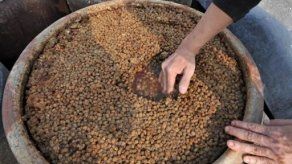 Paraguay suspende cultivo de soja por tres meses