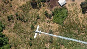 Colombia suspenderá uso de herbicida contra cultivos de coca