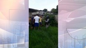 Casos de agresión e insultos contra unidades de la Policía Nacional Casos de agresión e insultos contra unidades de la Policía Nacional