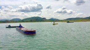 Pilotos del Canal de Panamá ensayan con minibuques antes de subir a neopanamax