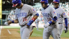 Cachorros 7