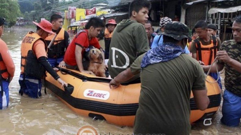 Tifón Bopha golpea Filipinas