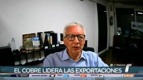 Director de Camipa detalla sobre exportación mirena
