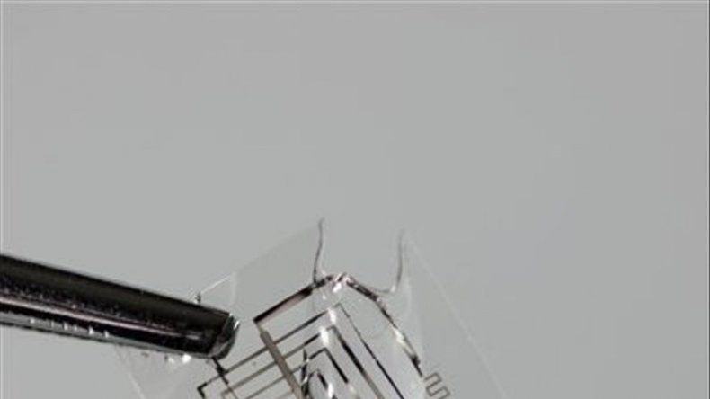 Crean electrónicos solubles en el organismo