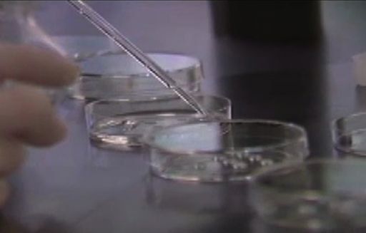Técnica permite concebir hijos sin predisposición a sufrir cáncer
