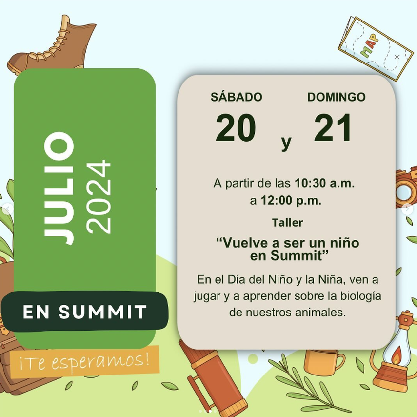 Actividad del Parque Summit. Actividad del Parque Summit.