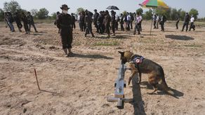 Camboya sigue cubierta de minas después de tres décadas de guerra y conflictos internacionales que terminaron en 1998, mientras que el problema en Ucrania surge a partir de la invasión de Rusia del año pasado.