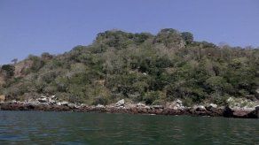 Barría pide prohijamiento del anteproyecto que declara isla Boná como refugio de vida silvestre