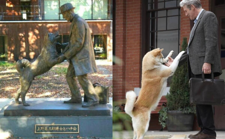 Hachiko, película basada en la vida real, sobre la lealtad de un perro hacia su amo y que al final muestra la fidelidad de los caninos hacia los humanos que ama. Hachiko, película basada en la vida real, sobre la lealtad de un perro hacia su amo y que al final muestra la fidelidad de los caninos hacia los humanos que ama.