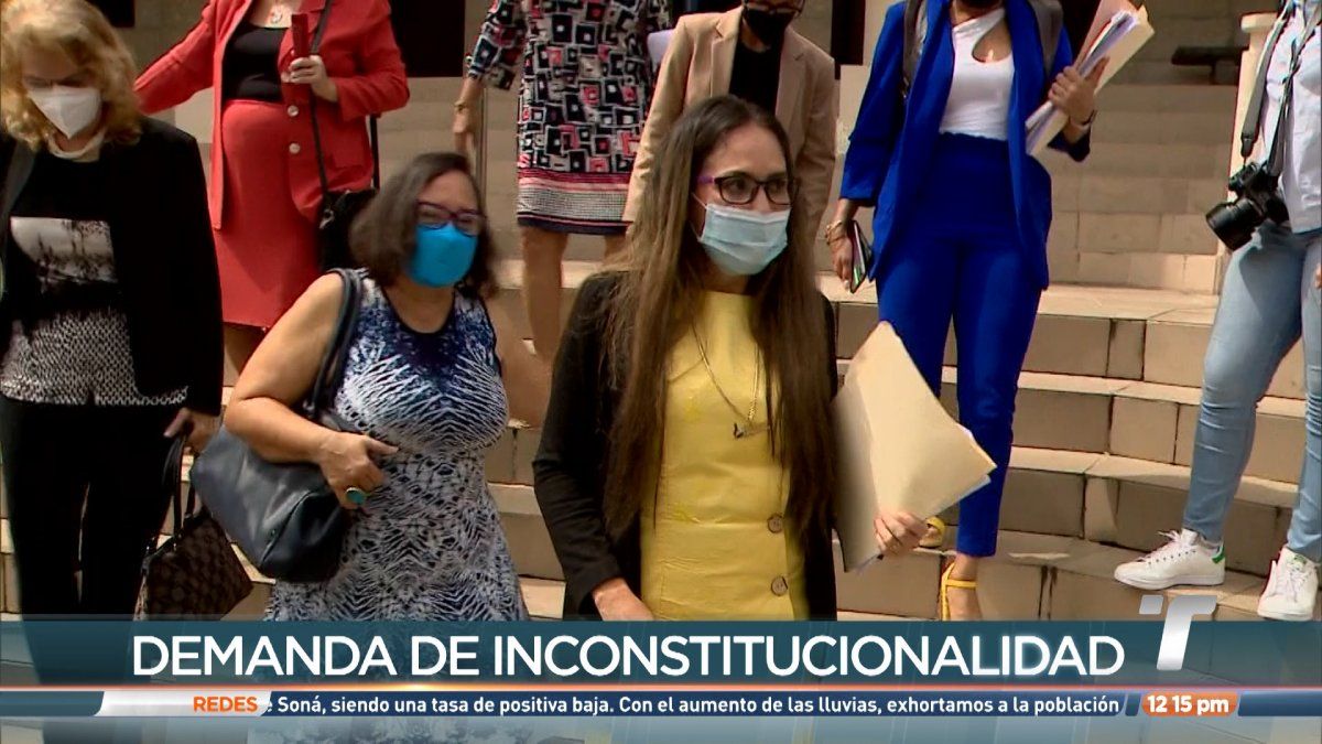 Diputadas Presentan Demanda De Inconstitucionalidad Contra Ley De ...