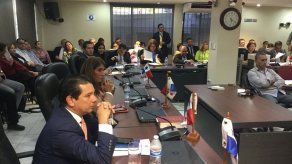 Aprueban en primer debate proyecto de Ley sobre licencia por paternidad Aprueban en primer debate proyecto de Ley sobre licencia por paternidad