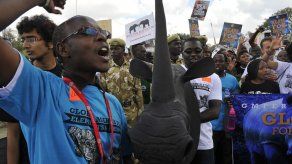 Sudáfrica expulsa a diplomático norcoreano por traficar cuerno de rinoceronte