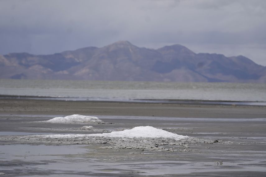 La disminución de los niveles de agua en el gigantesco lago situado al oeste de Salt Lake City pone en peligro a millones de aves migratorias.