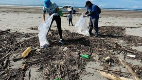 Jornada de limpieza en Playa La Barqueta Agrícola