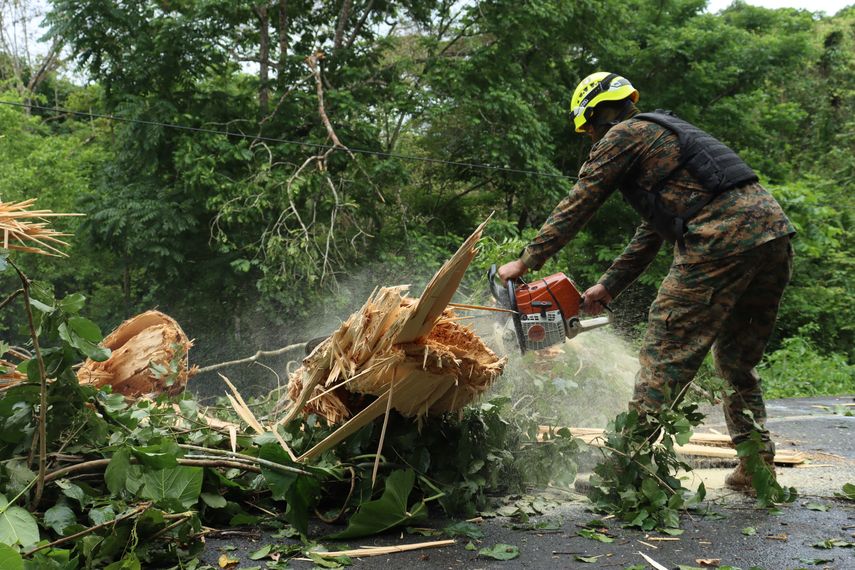 Estamentos de seguridad remueven árboles en vía hacía Darién y hacen llamado a detener acciones