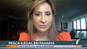 Flor Torrijos se refiere a denuncia sobre emisión de licencias de pesca
