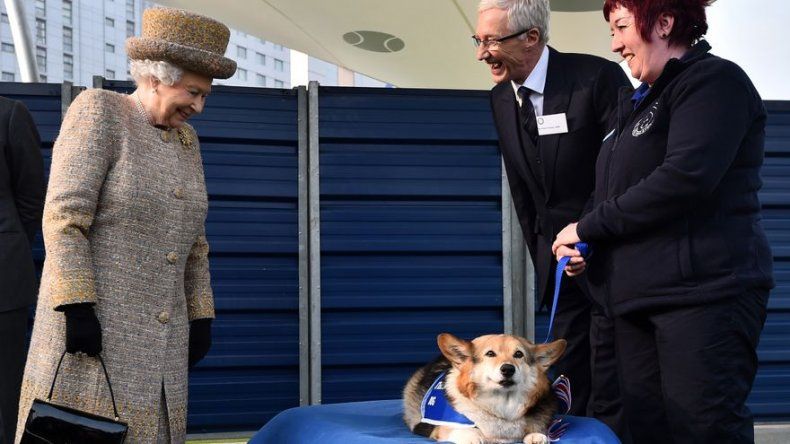 Los perros de Isabel II comen por orden de antigüedad y siguen una dieta homeopática