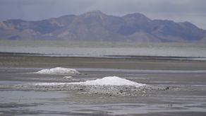 La disminución de los niveles de agua en el gigantesco lago situado al oeste de Salt Lake City pone en peligro a millones de aves migratorias.
