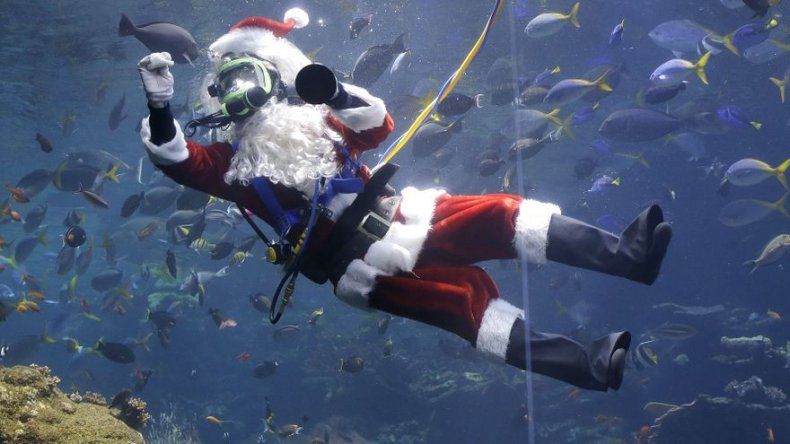 Buzo Papa Noel alimenta peces en museo en California