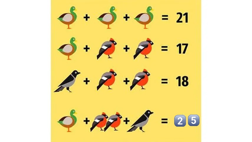 respuesta del acertijo visual respuesta del acertijo visual 