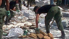 Destruyen más de 10 toneladas de droga decomisada