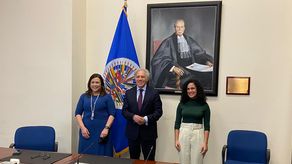 Comisión Interamericana de Mujeres (CIM)﻿.