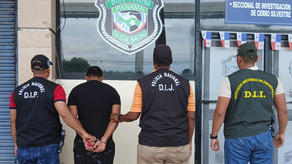 Detienen a hombre por vender carne de armadillo