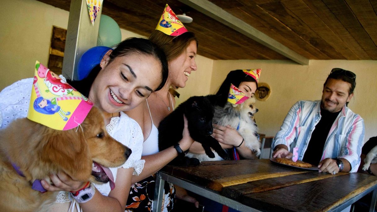 Restaurante para perros de Costa Rica es amigable con humanos