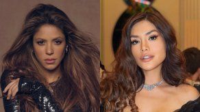 Actriz Miriam Saavedra acusa a Shakira de plagio&nbsp;